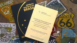 Primeiramente, é preciso entender o porquê desta exigência. Certificado Internacional De Vacinacao Paises Que Exigem O Certificado