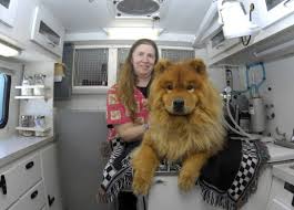 Euthanasia dog at home vet near me. Home Pet Euthanasia Often The Easier Of Two Difficult Acts Money Journaltimes Com