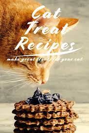 If you are out of town, your cat must receive proper treatment while you are gone. Cat Treat Recipes Healthy Homemade Snacks For Your Cat Homemade Cat Food Cat Treats Homemade Organic Cat Treats