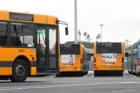 La via italiana, ipotesi obbligo per trasporti a lunga distanza. Green Pass Si Green Pass No Cosa Succedera Nei Mezzi Di Trasporto Startmag