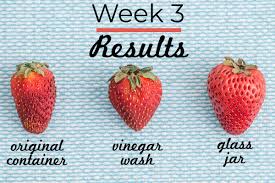 Check spelling or type a new query. How To Make Strawberries Last Longer Food Folks And Fun