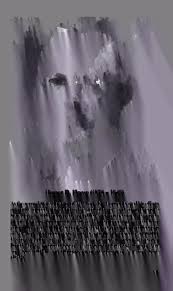 Image result for Kyllinga robinsoniana