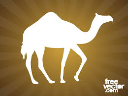 Browse our art silhouette camel images, graphics, and designs from +79.322 free vectors graphics. Walking Camel Silhouette Vector Art Graphics Freevector Com