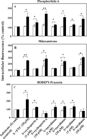 According to the electronic frontier foundation (eff), google is spying on the private lives of millions of innocent. Cyclosporin A Tacrolimus And Sirolimus Are Potent Inhibitors Of The Human Breast Cancer Resistance Protein Abcg2 And Reverse Resistance To Mitoxantrone And Topotecan Springerlink