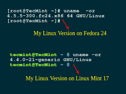 How To Find Out What Version Of Linux You Are Running