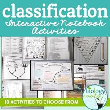 Plant Classification Chart Worksheets Teaching Resources Tpt