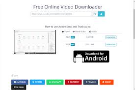 Tinytake is a free screen capture & video recording software for microsoft windows & mac. 16 Best Online Video Downloaders In 2021