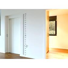 Height Ruler For Wall Depen Info