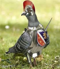 Armored Animals Creative Photo Manipulation Contest From Worth1000 Designswan Com Animals Animal Drawings Creative Photos