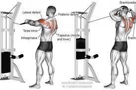 Grab the cable with your right hand and back 3 to 5 yards away from the cable machine. Lower Back Exercises Cable Machine Cheap Online