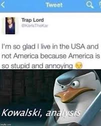 Image result for kowalski analysis meme