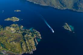 Harald v (born 21 february 1937) is king of norway. The Classic Voyage South Kirkenes To Bergen On Board Ms Kong Harald Departing 03 Feb 2021 Cruise Details