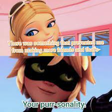 Roasting Someone With Puns Miraculous Ladybug Anime Miraculous Ladybug Memes Miraculous Ladybug Comic
