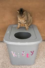 Sweep up the litter the next day, then hose off the area. How To Stop My Cat From Tracking Litter Everywhere Fluffy Kitty