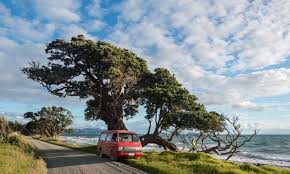Soak your muscles in one of many hot pools found around new zealand. New Zealand Bucket List 23 Awesome Things To Do On The North Island Wandering Wheatleys