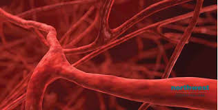 Hi well come to hcm no there is no any criteria for this or any particular unit that could measured how fast your blood is coming out neither this is matter of concern once the blood leaves the system then the velocity of this depends upon the apparatus used and gravitation pull, but this is nothing to worry, no. The Three Types Of Bleeding And How To Stop Them