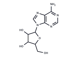 Image result for Adenosine