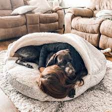 If you like this bed, you'll be happy to hear it comes in three sizes and five different colors. Luxury Cozy Cave Show Dog Collection Snoozer Cool Dog Beds Cave Dog Bed Cozy Cave Dog Bed