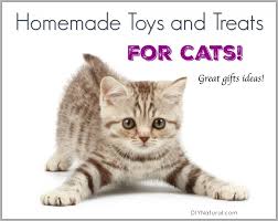 These cat treats are made of very simple ingredients that aren't cat food, but that our cats are going to eat and enjoy. Homemade Cat Toys And Treats For Your Precious Kitty Cats