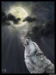 Volk Voet Na Lunu Poisk V Google Lobo Desenho Imagem De Lobo Lobo Solitario
