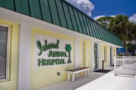 Apply to veterinary assistant, veterinary receptionist, receptionist and more! Island Animal Hospital In Merritt Island 105 Mcleod St Merritt Island Fl 32953 Usa