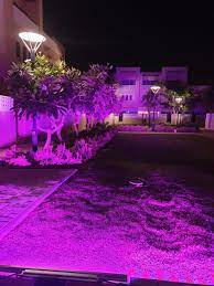 Mockup In The Garden Thanks Traxon Lightfunc Lighting Lightingdesign Landscape Design Rgb Lighting Design Design Landscape