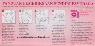 Bagi sebagian dari mereka yang divonis terkena kanker. Kesan Awal Dengan Pemeriksaan Sendiri Kanser Payudara Nutrion Terbaik Untuk Kesihatan