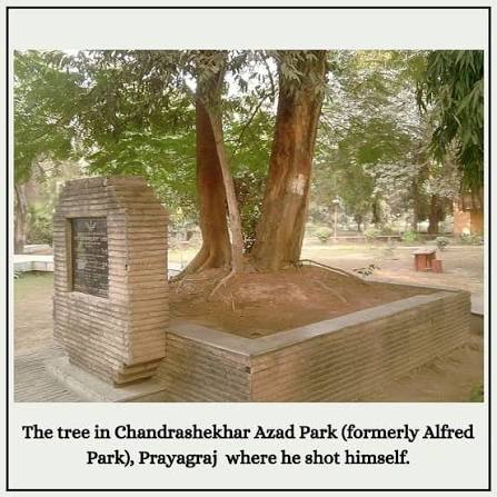 Tributing the great Freedom Fighter Chandershekar Azad on his birth anniversary i.e. 23 July 1906. B... - Historic Glimpses | Rattibha