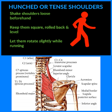 Ligaments and muscles hold the spine together. How To Prevent Upper Back And Neck Pain When Running Tgr