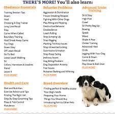 Unique Girl Border Collie Names