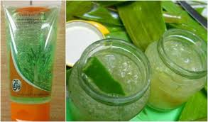 Hasil gambar untuk aloe vera homemade tips