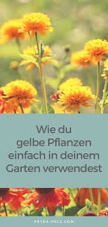 In Einem Garten Mit Gelb Scheint Die Sonne Staudenbeet Anlegen Stauden Graser In 2020 Pflanzen Gelbe Pflanzen Stauden Pflanzen
