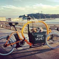 海と犬とカーゴバイク dagastroke カーゴバイク cargobike three wheel bicycle cargo bike bike design
