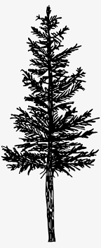 We did not find results for: Free Download Pine Tree Silhouette Png 1251x2991 Png Download Pngkit