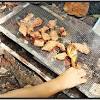 Hutan simpan kekal in english. Https Encrypted Tbn0 Gstatic Com Images Q Tbn And9gcrbee1yqjijuzilx0q4vebfxh5k6iqlar8a9uimj6k4s6yggkzb Usqp Cau