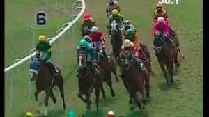 Indiarace Com India S First Foremost Horse Racing Portal Indiarace.com at press about us. india s first foremost horse racing