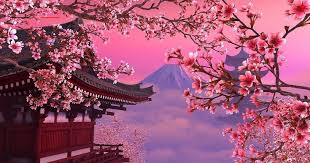 21 1080p Anime Sakura Wallpaper Download Anime Sakura Wallpaper Engine Free And Get All Of In 2020 Cherry Blossom Wallpaper Aesthetic Wallpapers Anime Cherry Blossom