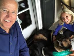 The breed's life expectancy is 12 to 14 years, according to the american kennel club. Joe Biden On Twitter Happy Internationaldogday From Major And Camera Shy Champ