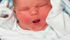 Laurie Shipley's Instagram, Twitter & Facebook