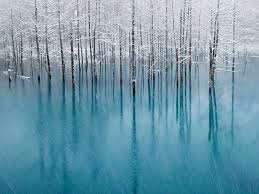 1,097 likes · 10 talking about this · 88 were here. National Geographic Down To Earth Photography Stuff