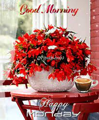 Good morning posters happy morning quotes good morning cards good morning picture good morning world good morning happy good morning greetings good morning wishes sunday gif. Good Morning Happy Monday Photo Red Flowers M Gif Good Morning Monday Gif Good Morning Flowers Good Morning Happy Monday