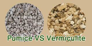 Pumice vs perlite vs vermiculite. Pumice Vs Vermiculite How They Compare Agri Thai