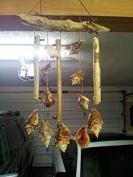 Check spelling or type a new query. Driftwood And Fighting Conch Shell Chimes Shell Crafts Diy Shell Crafts Conch Shell Crafts
