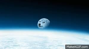 This story is over 5 years old. Doge Moon On Make A Gif