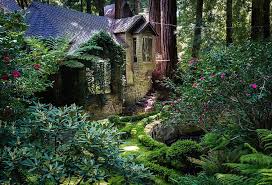 20 Petites Maisons Isolees Propices A La Meditation 2tout2rien Petite Maison Art D Arbre Maison Isolee