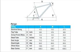 giant road bike size chart buurtsite net