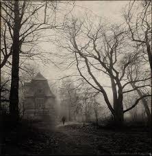Resultat De Recherche D Images Pour Paysage Hante Foret Hantee Maison Hantee Maisons Rampantes