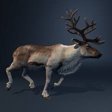 3d Model Reindeer Deer Animation Walk Reindeer Animated Christmas 3d Model
