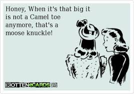 Nobody wants any moose knuckle ,but camel toe can be very nice. Pin On Funny