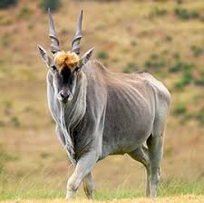 Karen and Brent Bertram